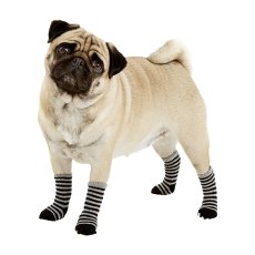 Socken für Hunde Flamingo - M