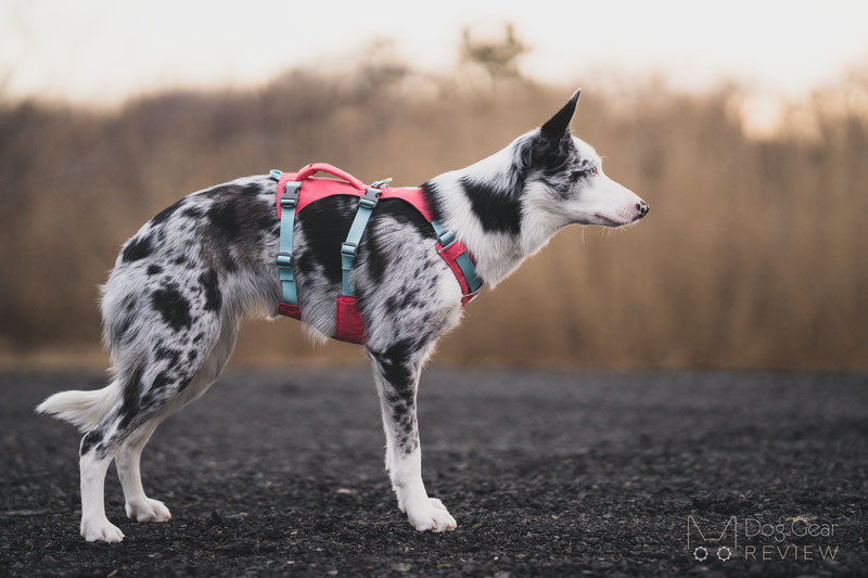 Ruffwear Flagline Harness - postroj pro psy - Basalt Gray