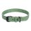Flamingo Leano Green - Lederhalsband für Hunde, grün