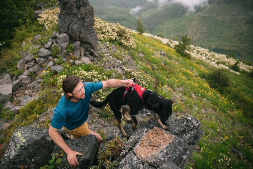 Ruffwear Flagline Harness - postroj pro psy - Basalt Gray