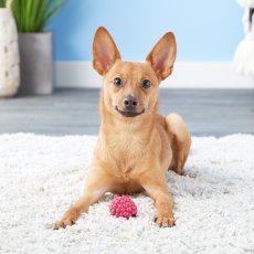 Planet Dog Orbee-Tuff malina - extrémně odolná hračka na pamlsky s mátovou příchutí