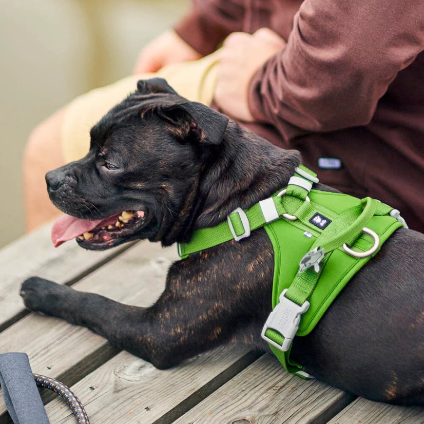 Hurtta Weekend Warrior Harness II ECO Parsley – Hundegeschirr – Petersilie