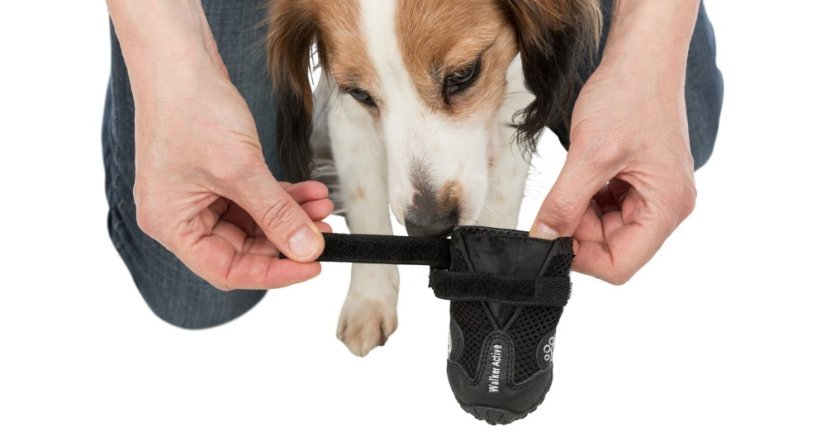 Botičky pro psy Trixie Walker Active - 2 ks
