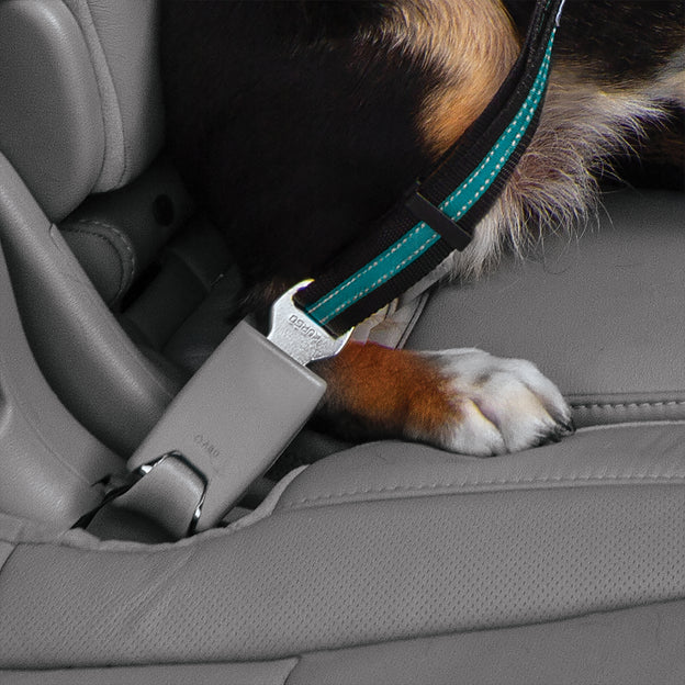 Kurgo Direct to Seatbelt Swivel Tether - popruh pro psy do auta s upínacím mechanismem - otočný, modrý