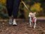 Ruffwear Hi & Light Harness - postroj pro psy -  Salmon Pink