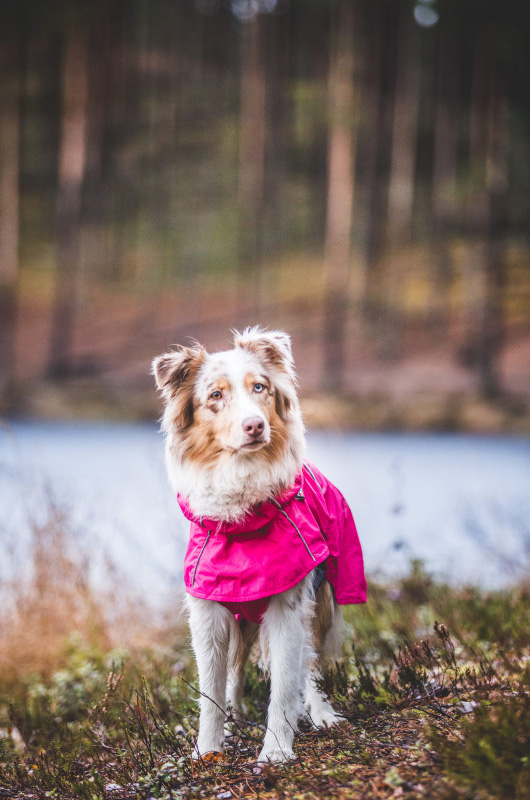 Rukka Hase Rain - pláštěnka pro psy - růžová