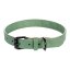 Flamingo Leano Green - Lederhalsband für Hunde, grün