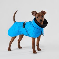 PAIKKA Visibility Winter Jacket Indigo - regenerierende WinterHundemantel - Blau