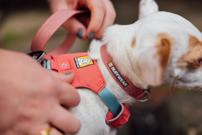 Ruffwear Hi & Light Harness - postroj pro psy -  Salmon Pink