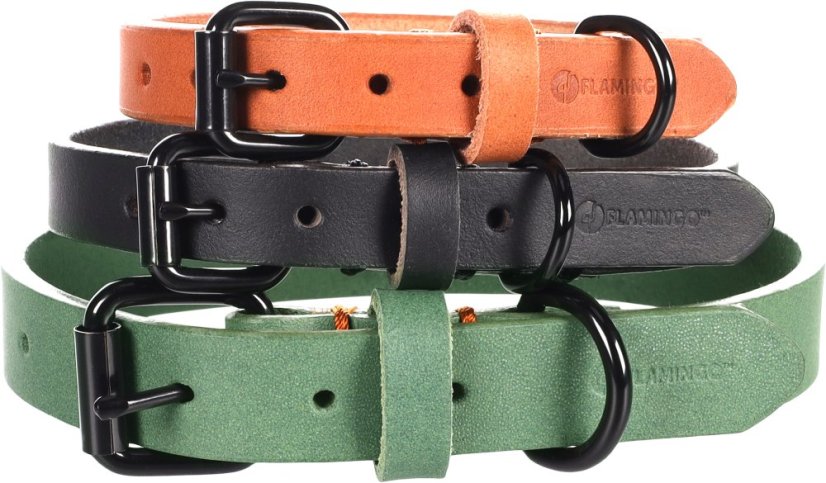 Flamingo Leano Green - Lederhalsband für Hunde, grün