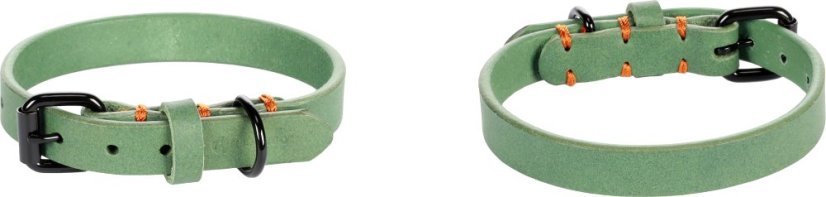 Flamingo Leano Green - Lederhalsband für Hunde, grün