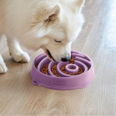 Outward Hound Fun Feeder Purple - Anti-Schling-Napf, lila, XL (4 Tassen)