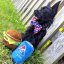 Huxley & Kent - Lulubelles Power Plush Poopsia Cola - quietschende Plüschdose für Hunde - 16 cm (L)