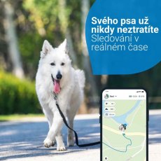 Tractive GPS DOG 4 – GPS sledování polohy a aktivity pro psy, bílý