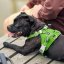 Hurtta Weekend Warrior Harness II ECO Parsley – Hundegeschirr – Petersilie