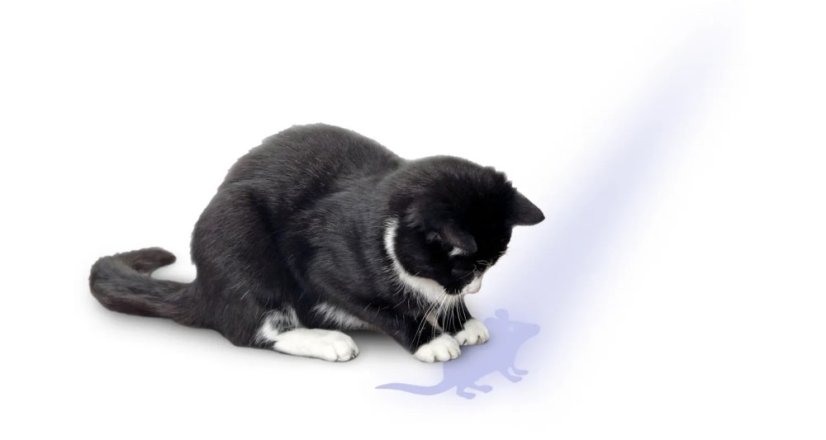 Flamingo LED-Pointer - Laserspielzeug für Katzen - Mausmotiv