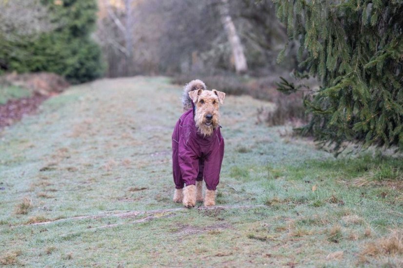Rukka Pets Thermo-Overall - Hundemantel - Burgunderrot