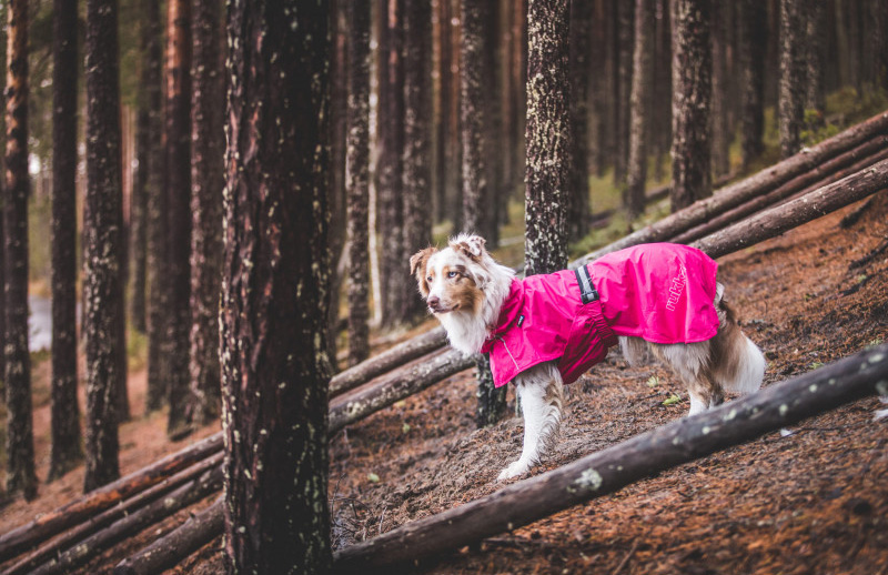 Rukka Hase Rain - pláštěnka pro psy - růžová
