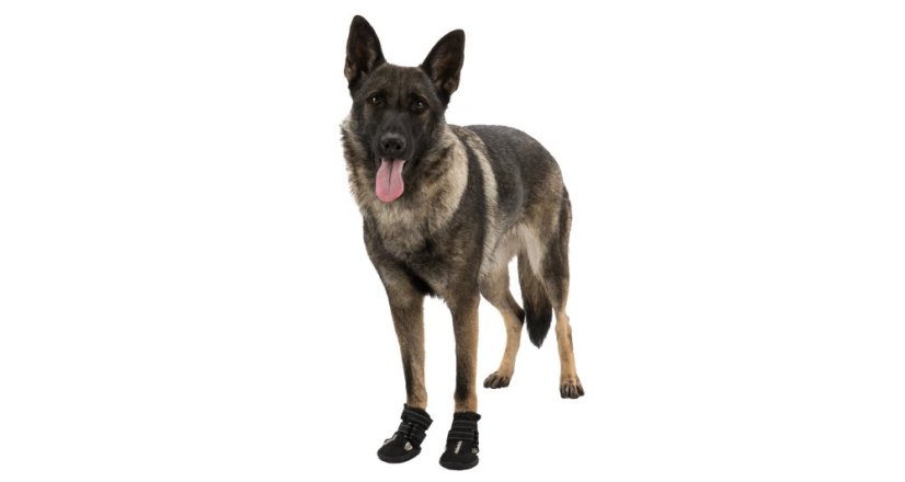 Botičky pro psy Trixie Walker Active - 2 ks