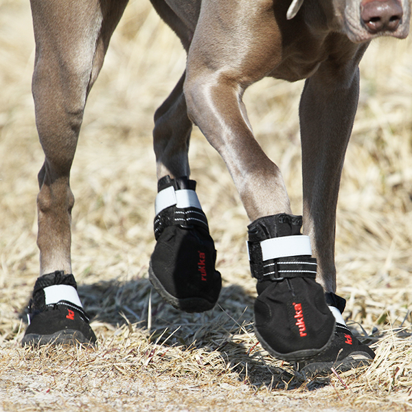 Rukka Pets Proff Boots (2 Stk.) – Hohe Hundeschuhe, Schwarz