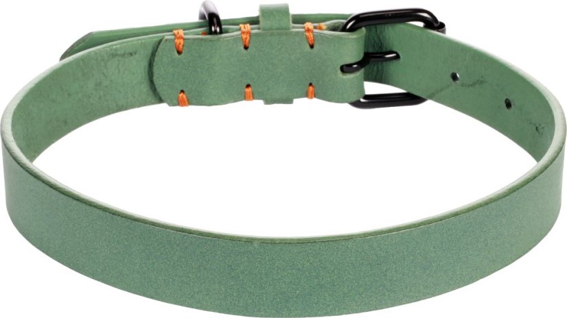 Flamingo Leano Green - Lederhalsband für Hunde, grün