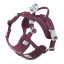 Hurtta Weekend Warrior Harness II ECO Eggplant – Hundegeschirr – Aubergine