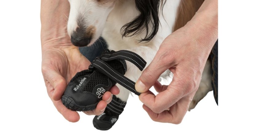 Botičky pro psy Trixie Walker Active - 2 ks