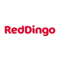 Red Dingo