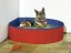 Flamingo Pool Doggy Splash Round - Bazén pro psy - červeno-modrý - ∅ 160 x 30 cm (L)