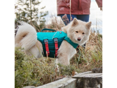 Hurtta Life Savior ECO Eggplant - Rettungs-Schwimmweste für Hunde - Aubergine