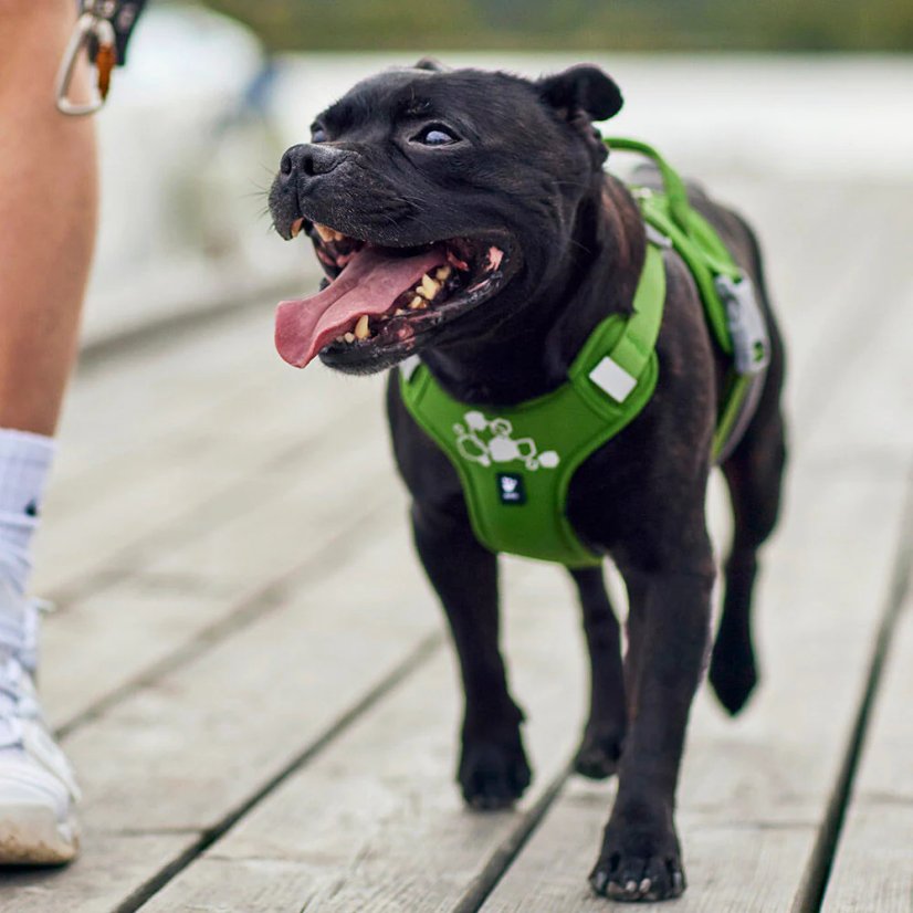 Hurtta Weekend Warrior Harness II ECO Parsley – Hundegeschirr – Petersilie