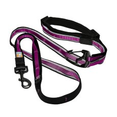 Kurgo Quantum 6-in-1 Hundeleine - Leine für Hunde - 2 Meter - Himbeere