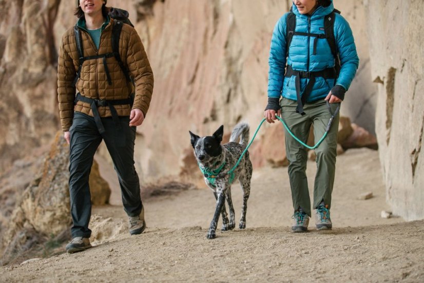Ruffwear Knot-a-Leash - Seilleine für Hunde - 150 x 1,1 cm, Blue Pool (L)