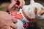 Ruffwear Hi & Light Harness - postroj pro psy -  Salmon Pink