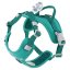 Hurtta Weekend Warrior Harness II ECO Peacock – Hundegeschirr – Pfauengrün