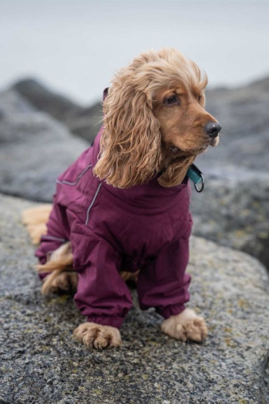 Rukka Pets Thermo-Overall - Hundemantel - Burgunderrot