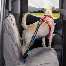 Kurgo Direct to Seatbelt Tether - Autogurt für Hunde mit Klemmmechanismus - blau