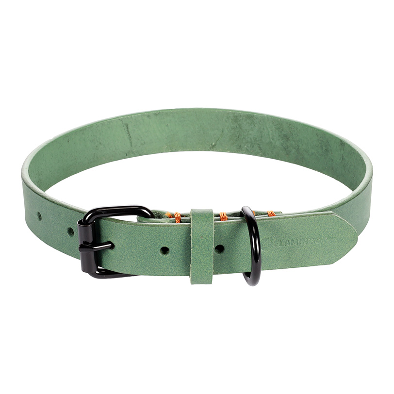 Flamingo Leano Green - Lederhalsband für Hunde, grün