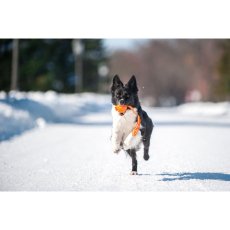 Liker Line 5 cm – Zerr- und Apportierball für Hunde