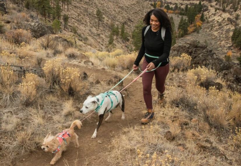 Ruffwear Flagline Harness - postroj pro psy - Basalt Gray