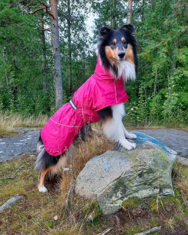 Rukka Hase Rain - pláštěnka pro psy - růžová
