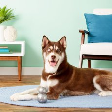 Planet Dog Orbee-Tuff Diamond Plate Double-Tuff - interaktivní hračka na pamlsky - velikost S