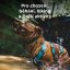 Ruffwear Flagline Harness - postroj pro psy - Basalt Gray