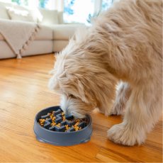 Outward Hound Fun Feeder Carbon – Anti-Schling-Napf, dunkelgrau, M (2 Tassen)